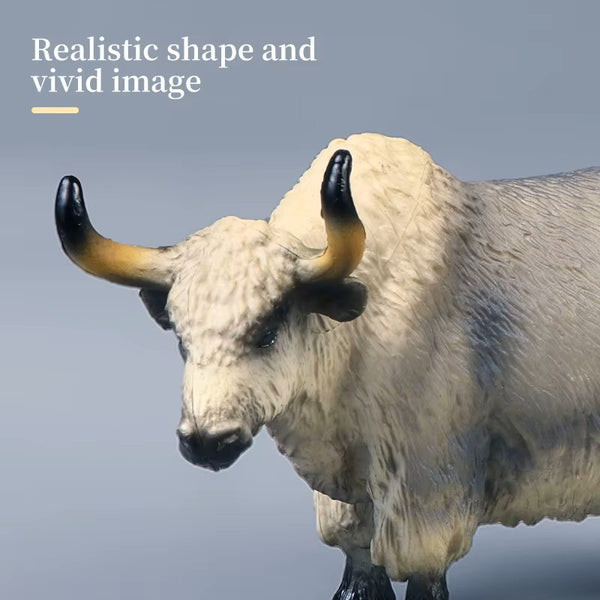 Farm Animal Models