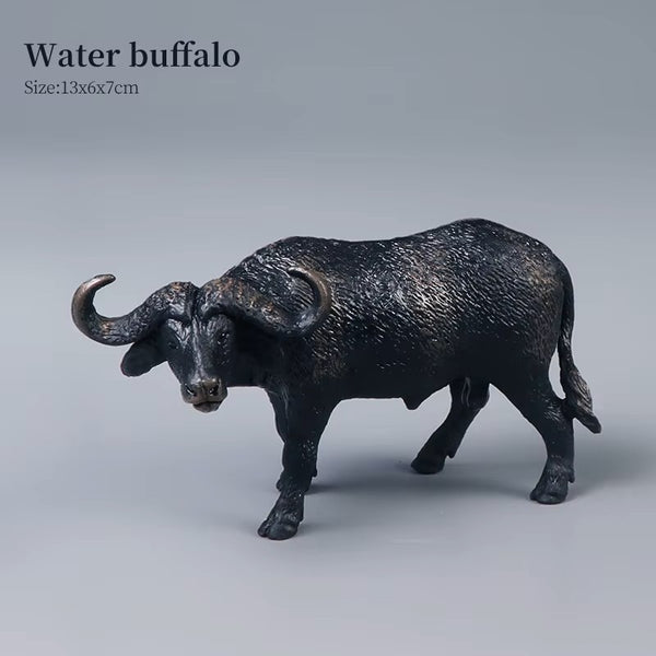 Farm Animal Models