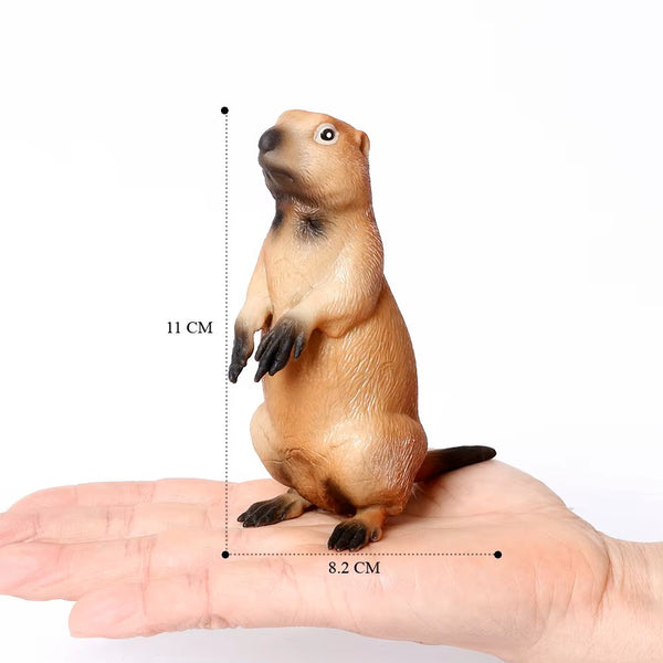 Wild Rodent Animal Figures