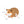 Load image into Gallery viewer, Wild Rodent Animal Figures
