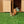 Load image into Gallery viewer, Wild Rodent Animal Figures
