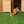 Load image into Gallery viewer, Wild Rodent Animal Figures
