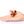 Load image into Gallery viewer, Wild Rodent Animal Figures
