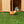 Load image into Gallery viewer, Wild Rodent Animal Figures
